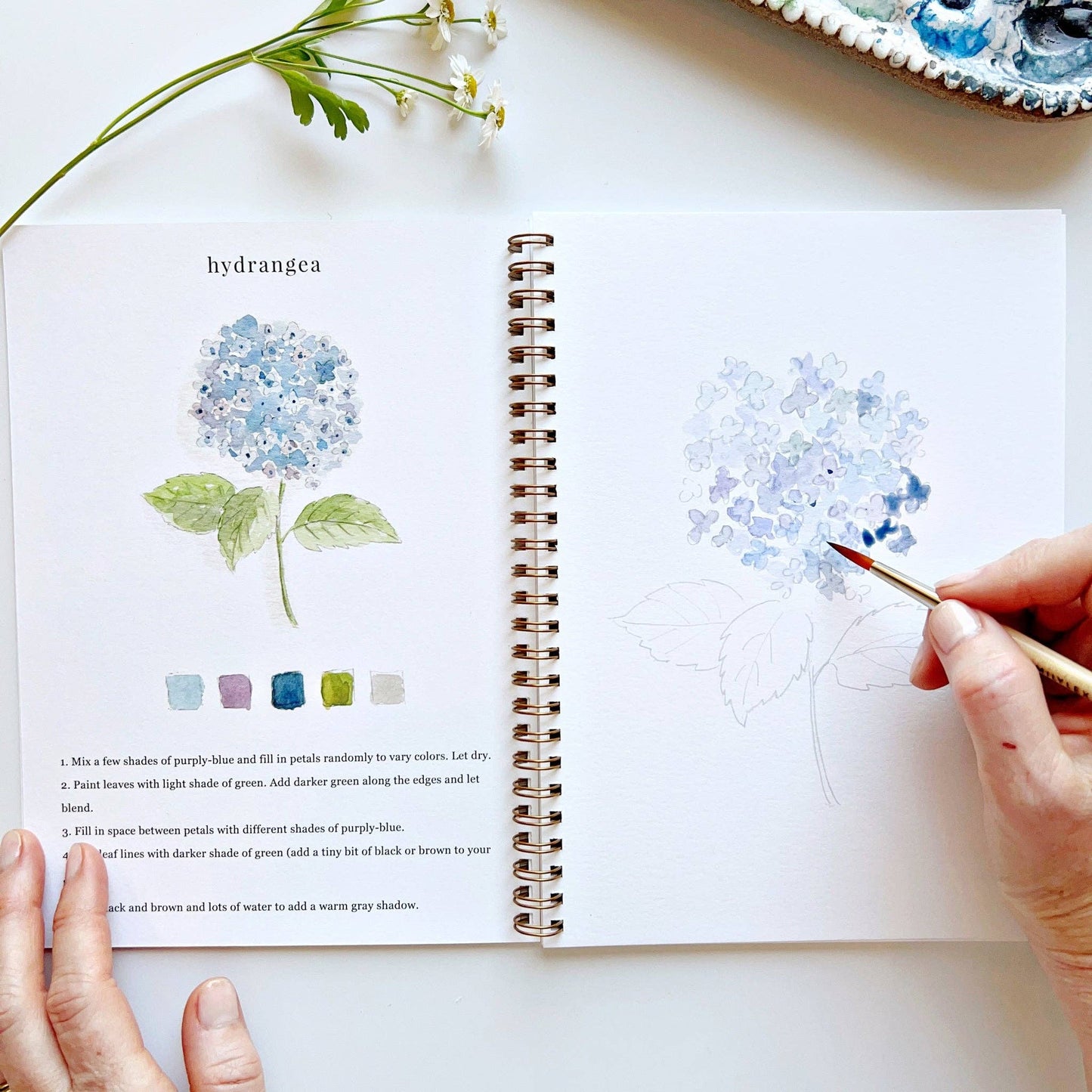 Emily Lex Studio - Flowers watercolor workbook