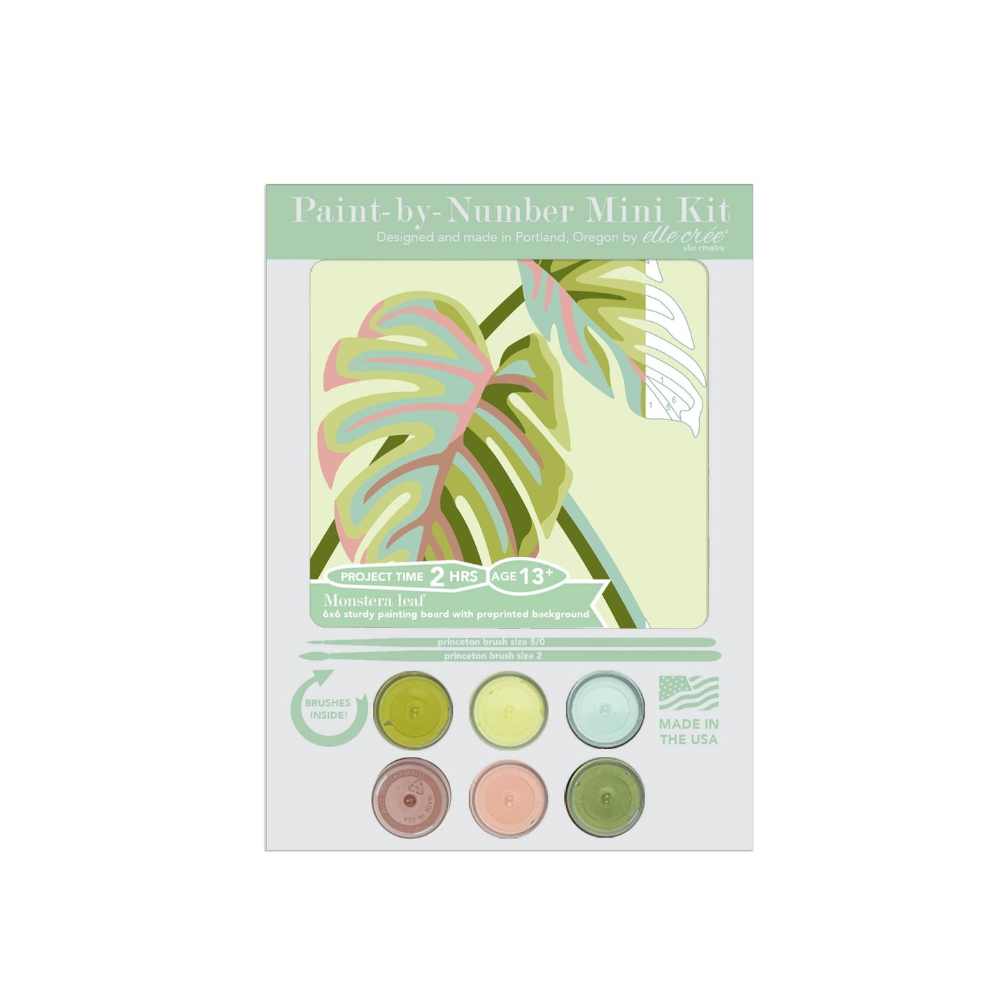Monstera Leaves MINI Paint-by-Number Kit