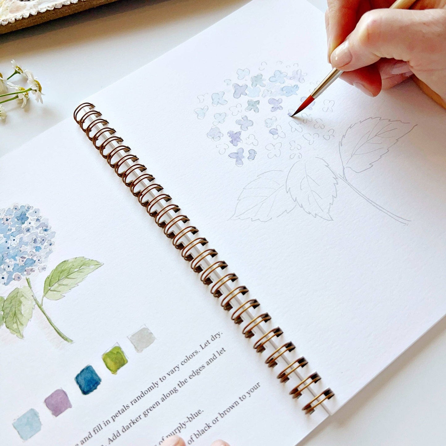 Emily Lex Studio - Flowers watercolor workbook