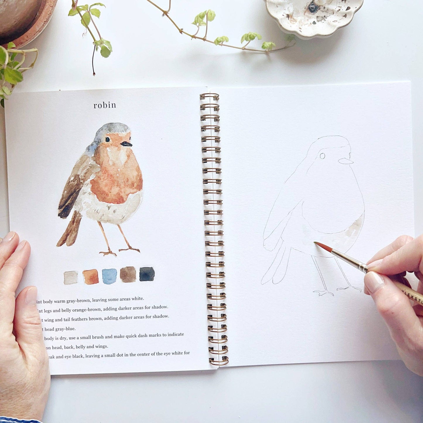 Emily Lex Studio - Birds watercolor workbook