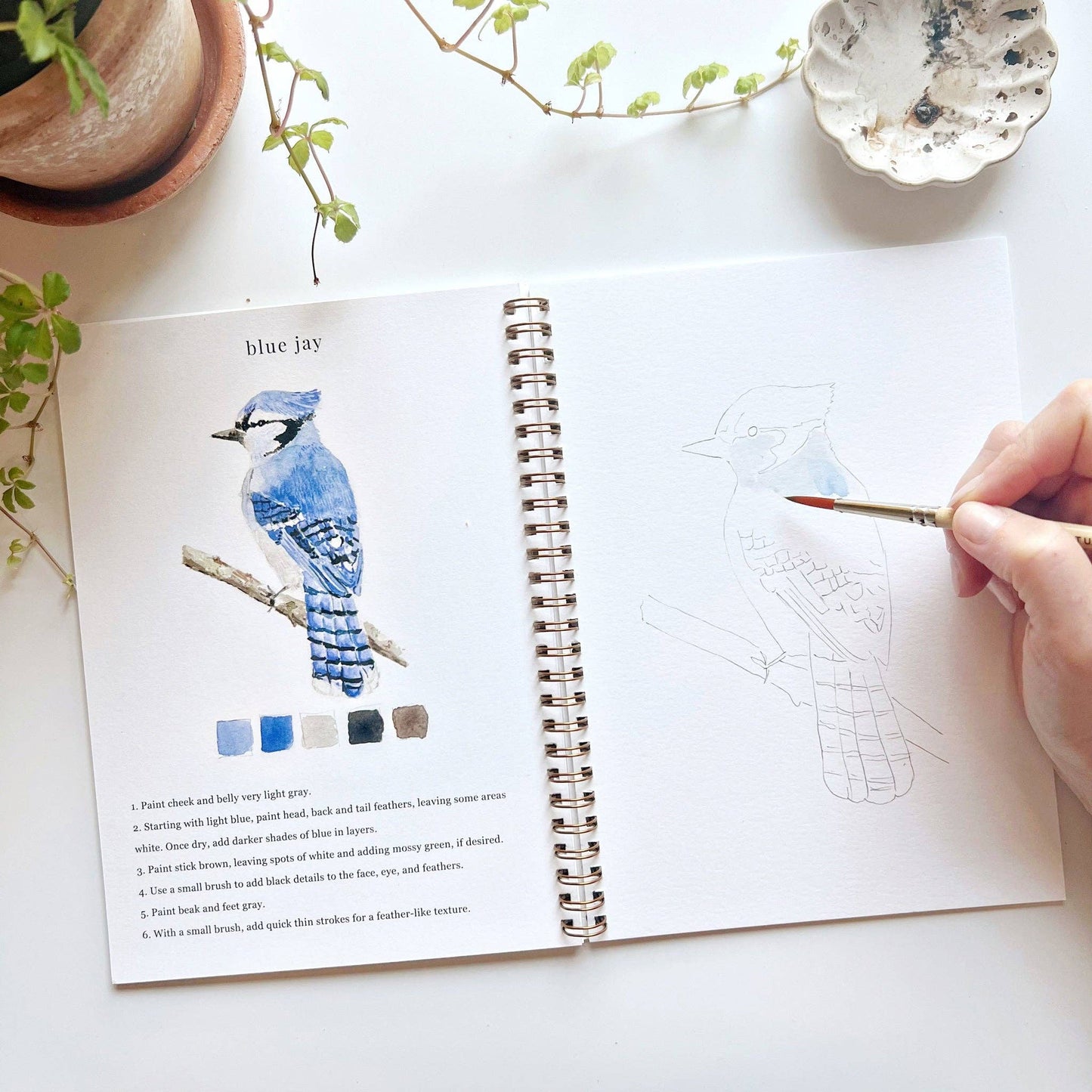 Emily Lex Studio - Birds watercolor workbook