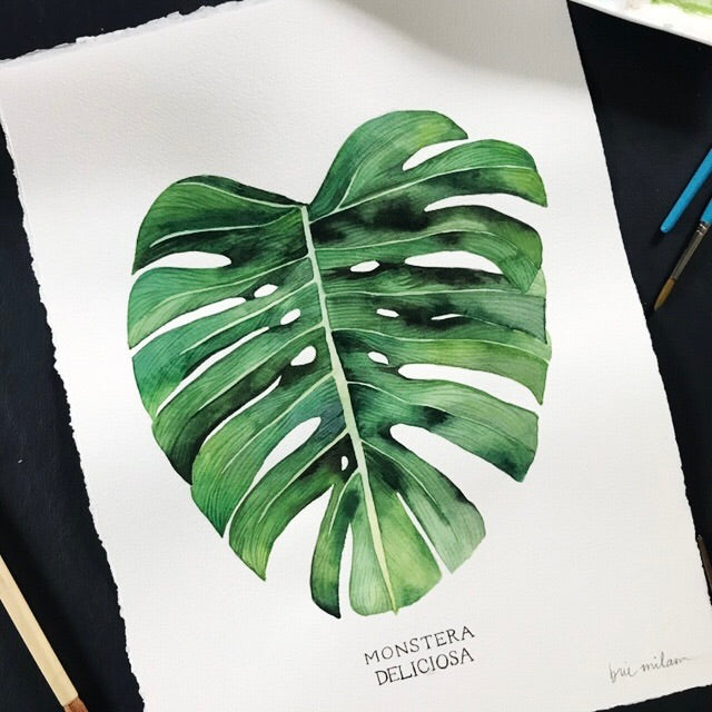 March 22, 2026 Watercolor: Botanicals