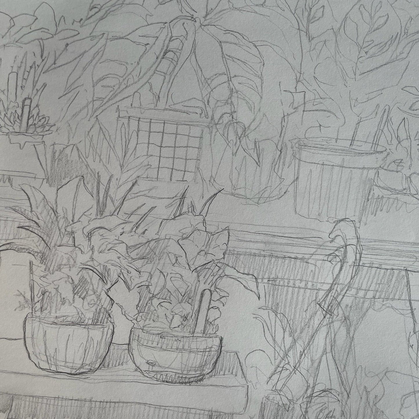 Adult Weekly Beginner Drawing