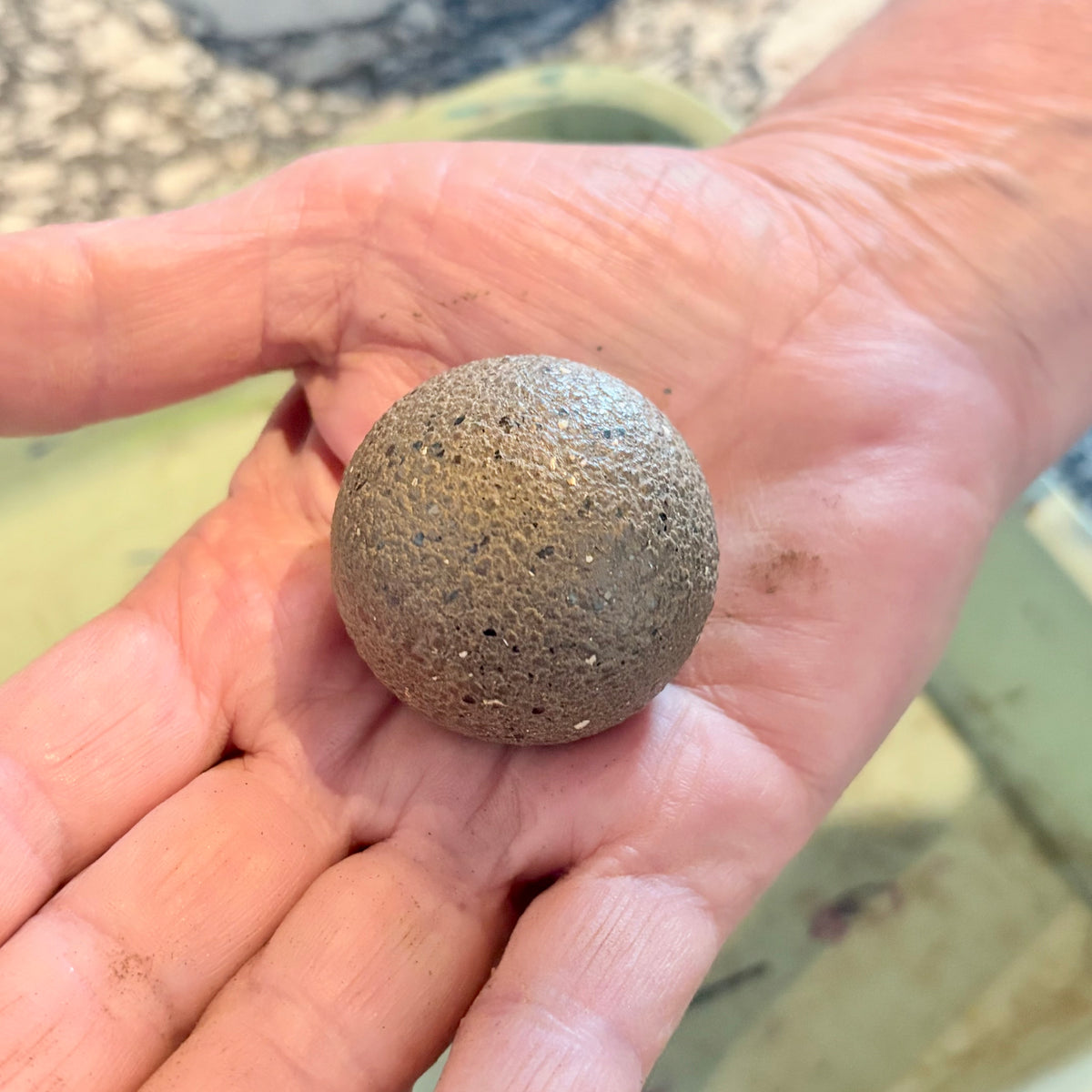 November 15 Hikaru Dorodango in the Garden