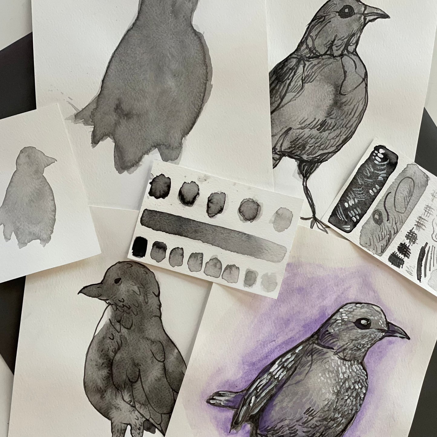 November 21 Blackbird Afternoon Camp