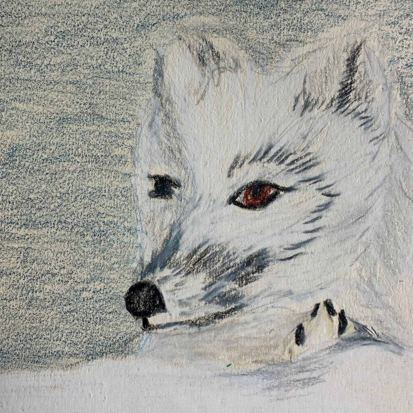 January 4 Color Pencil Winter Fox Afternoon Camp