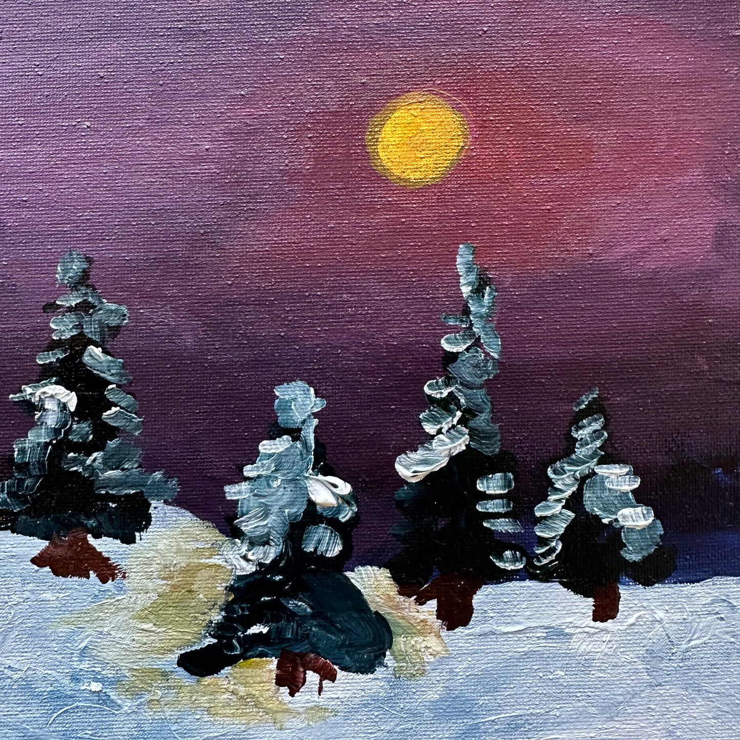 January 2 Winter Landscape Afternoon Camp