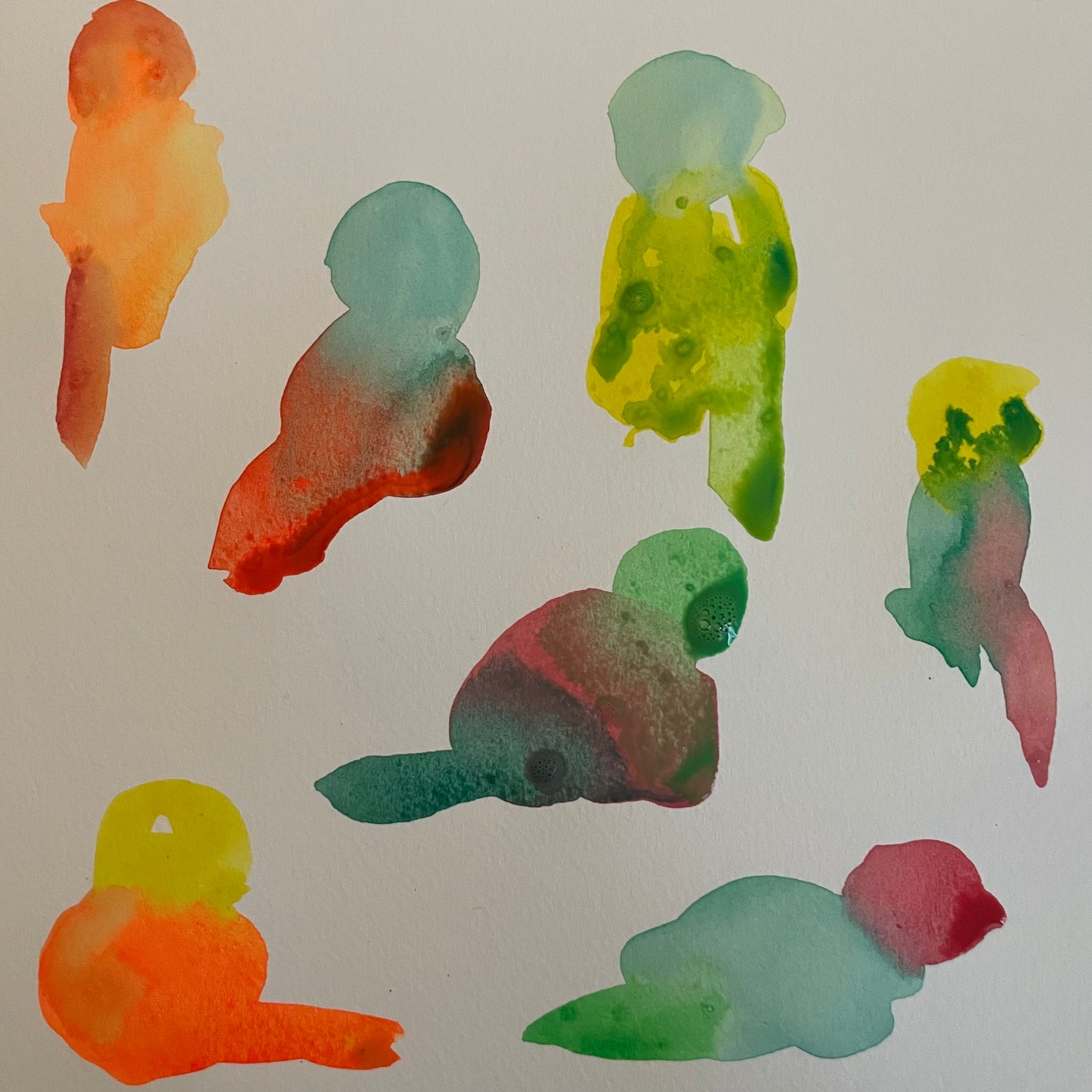 December 29 Blob Birds Morning Camp
