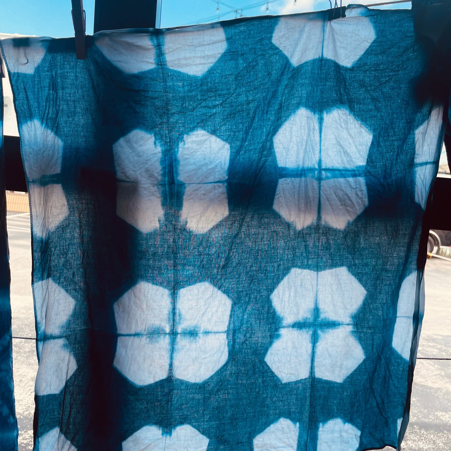 October 11 Natural Dyes: Indigo and Shibori