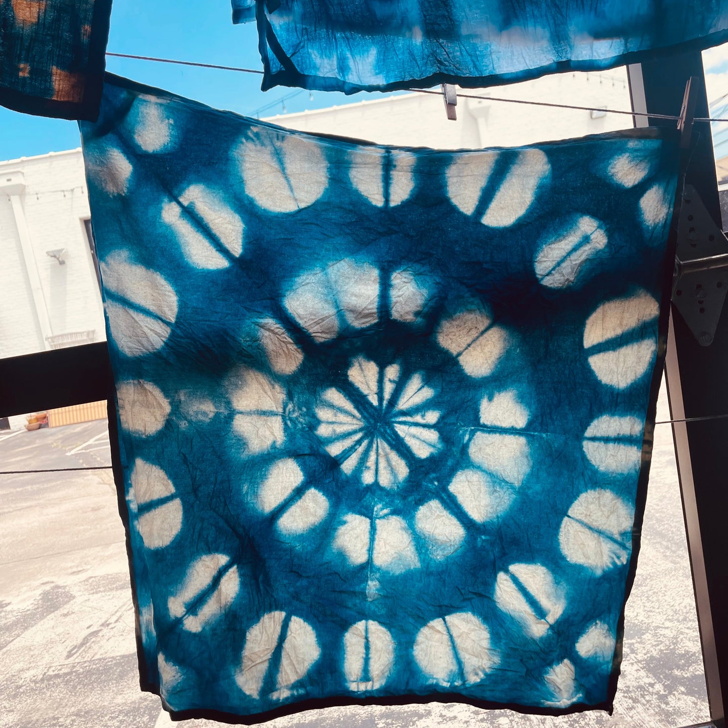 October 11 Natural Dyes: Indigo and Shibori
