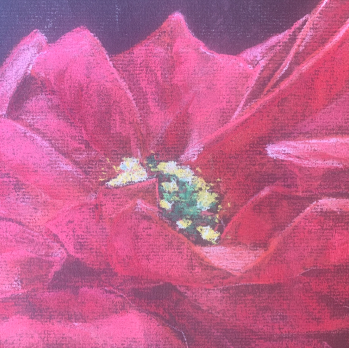 December 27 Poinsettia Pastel Afternoon Camp