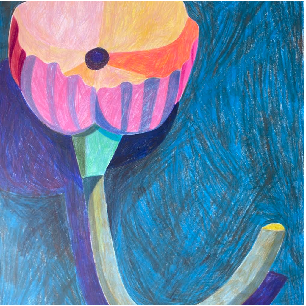 Sept 16 Drawing with Prismacolor Pencil