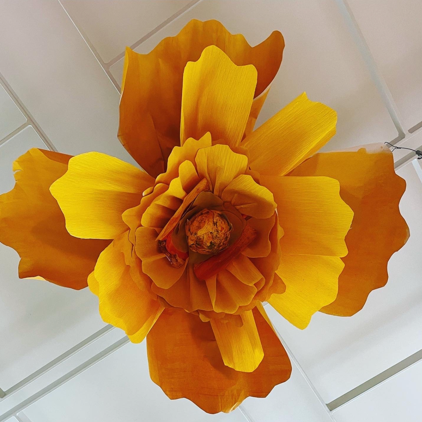 May 12  Sculptural Paper Flowers