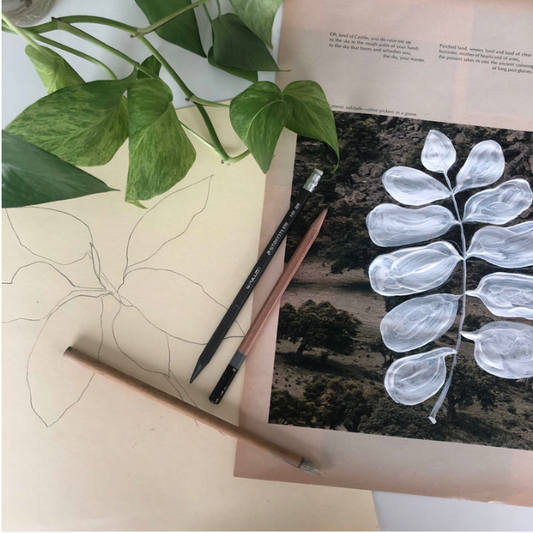 Adult Creative Retreat: Drawing from Nature