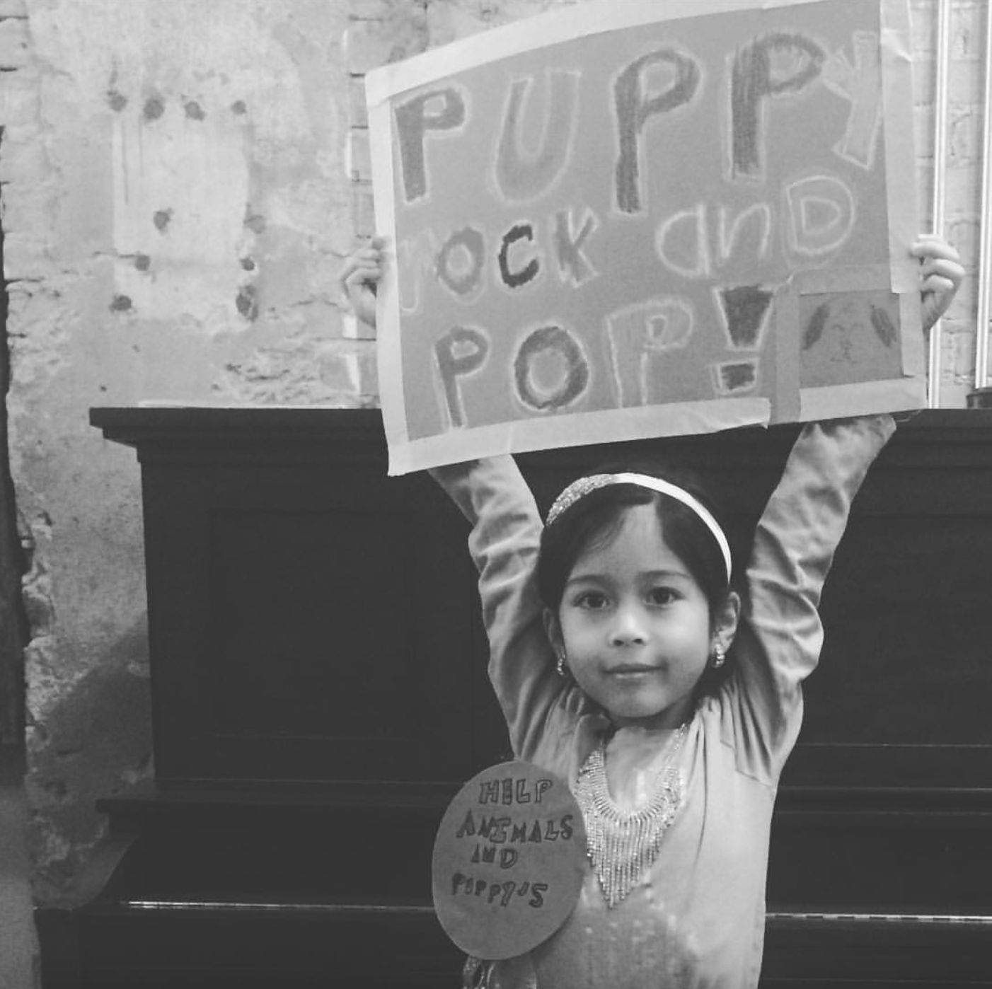 June 30 AM: One Day Drawing Favorite Pets & Animals Camp