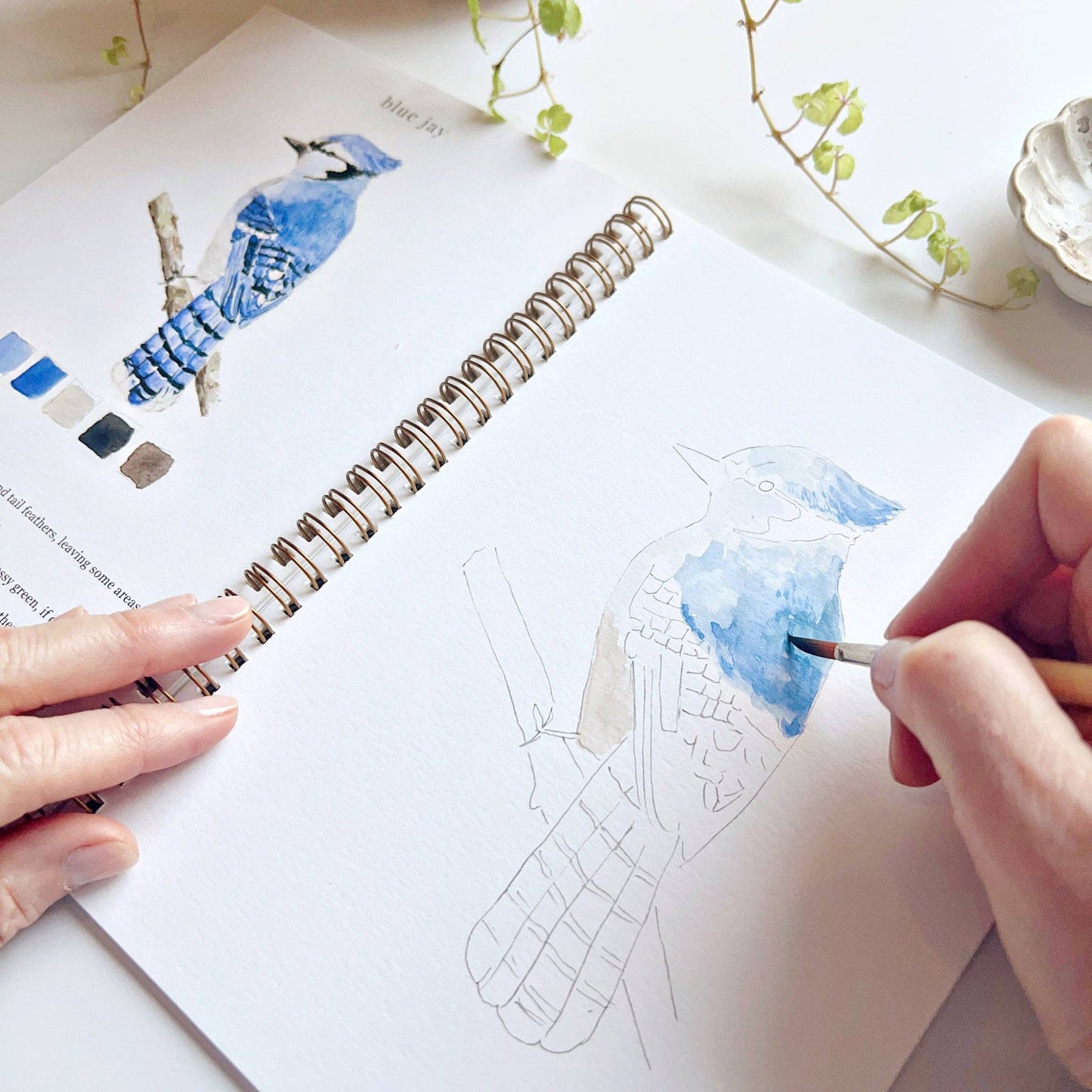 Emily Lex Studio - Birds watercolor workbook
