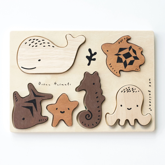 Wooden Tray Puzzles