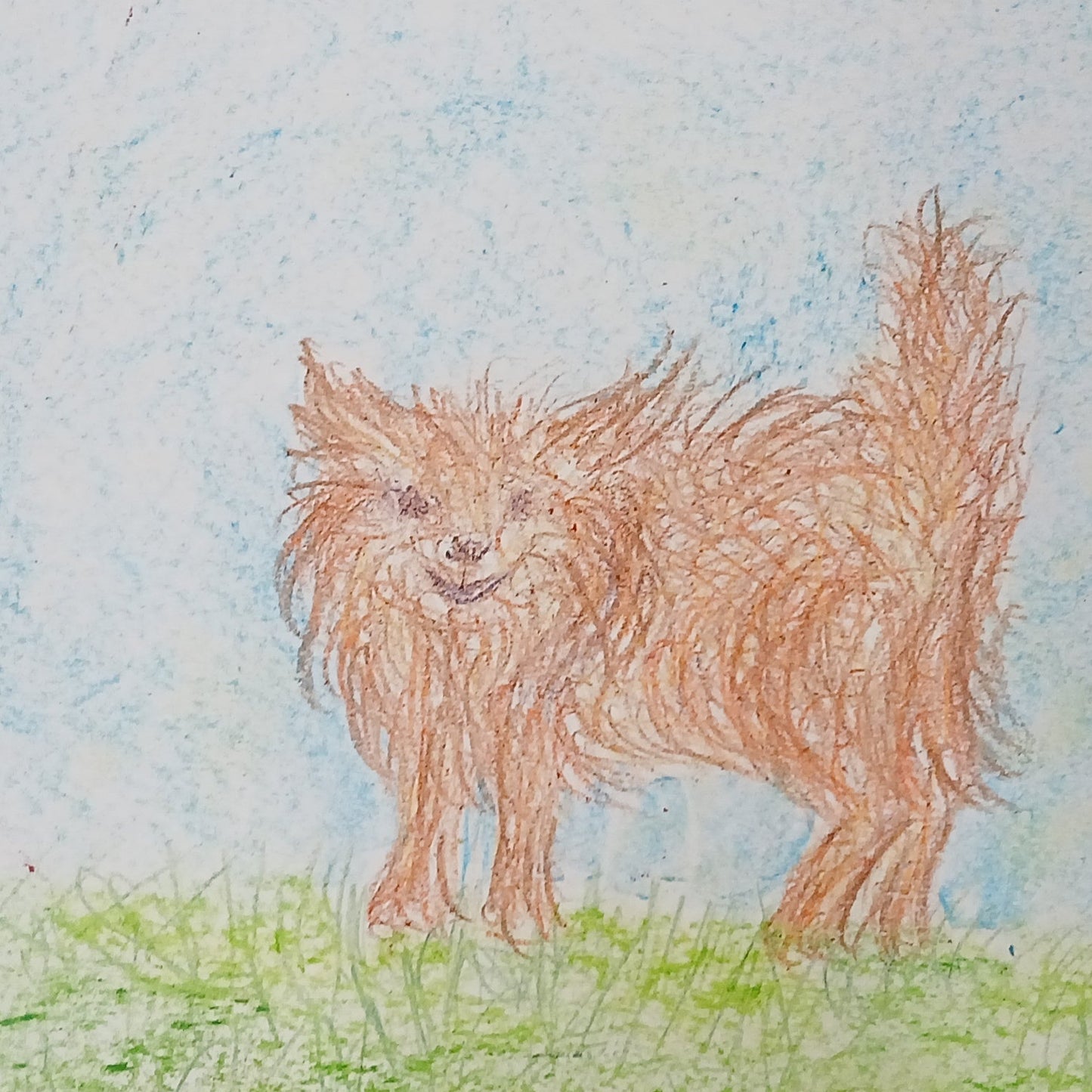 June 30 AM: One Day Drawing Favorite Pets & Animals Camp