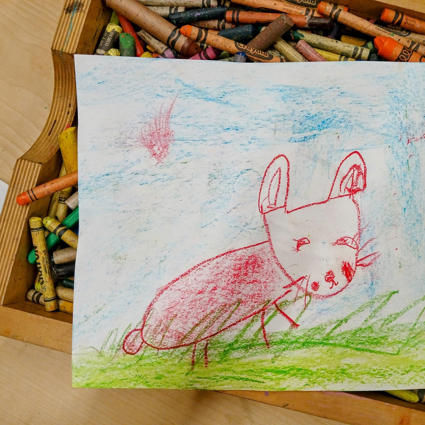 June 30 AM: One Day Drawing Favorite Pets & Animals Camp