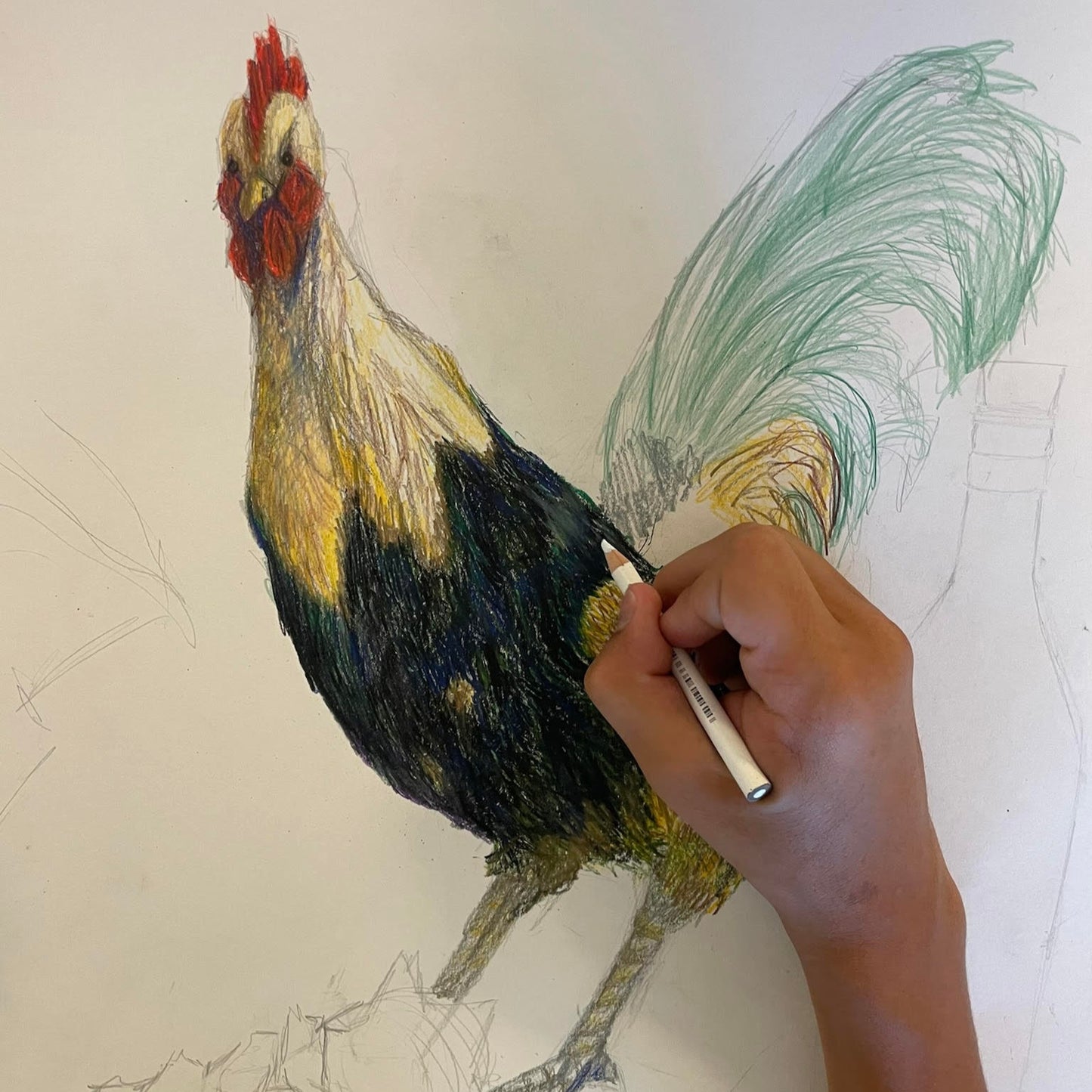 June 30 AM: One Day Drawing Favorite Pets & Animals Camp