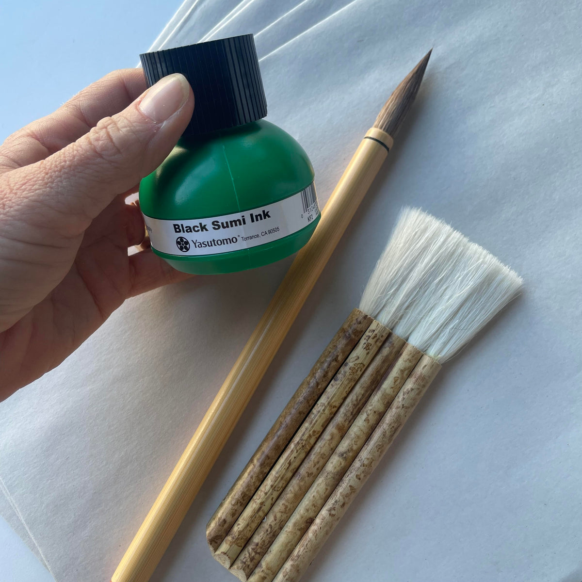 February 6 Intro to Chinese Painting