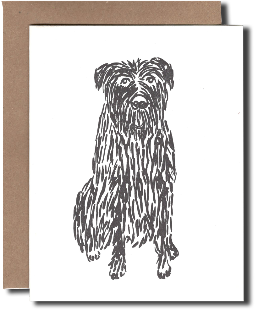 Shaggy Dog - SALE