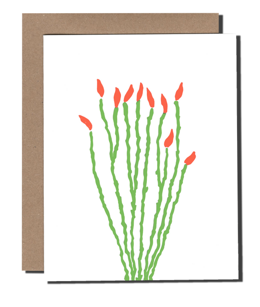 Ocotillo Flower greeting card