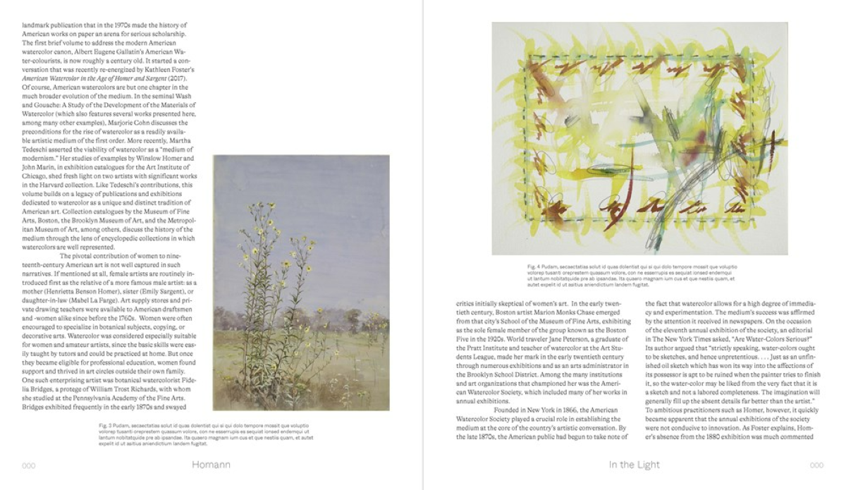 American Watercolors, 1880-1990: Into the Light