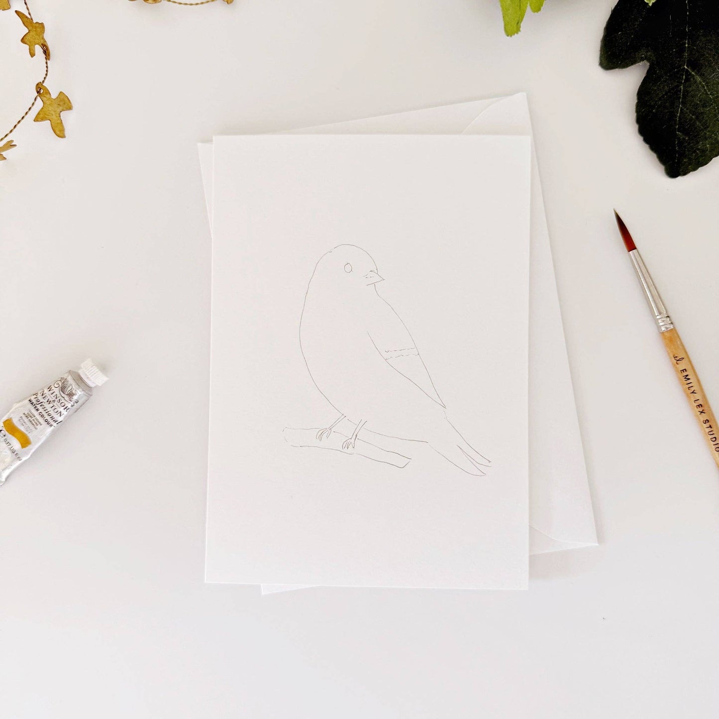 Emily Lex Studio - Backyard birds paintable notecards