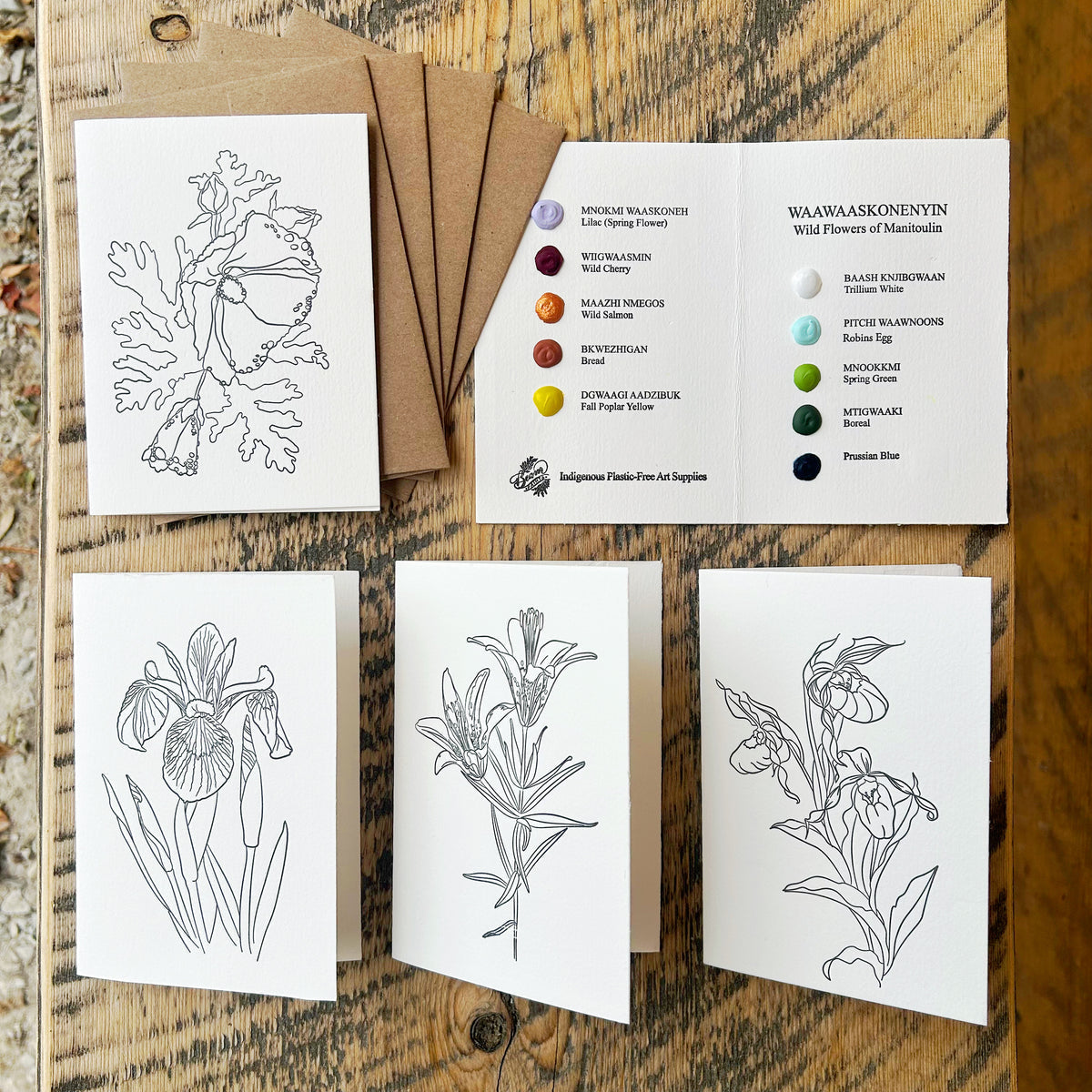 Beam Watercolor Postcards -Wildflowers of Manitoulin-