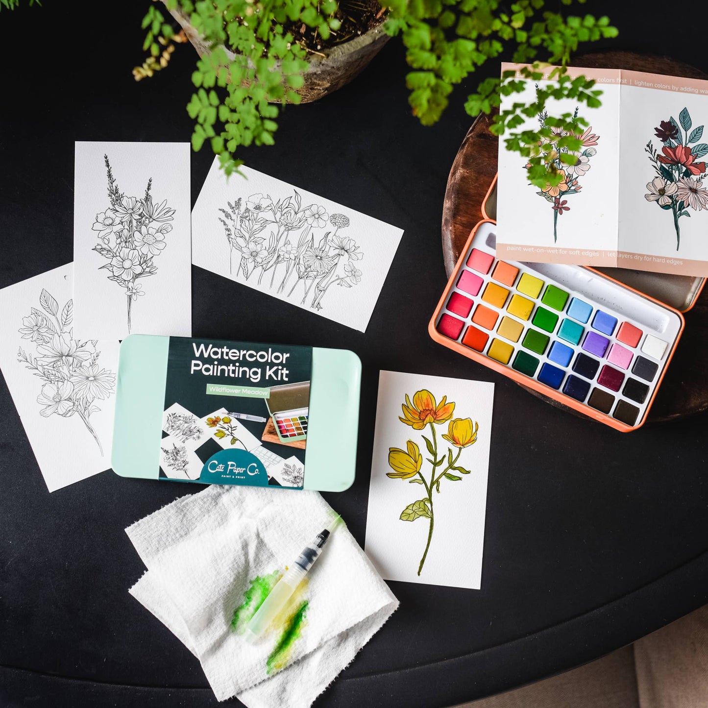 Cait Paper Co. Wildflower Meadow watercolor painting kit