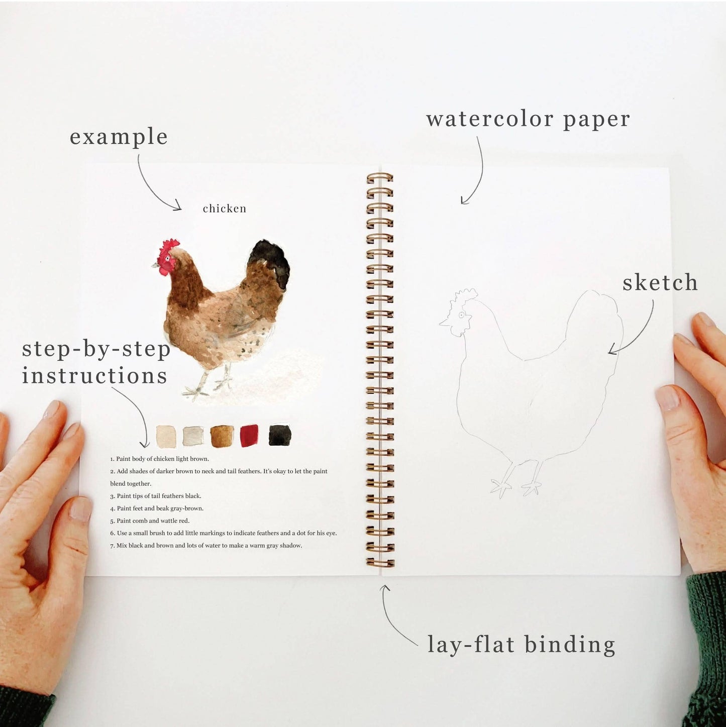 Emily Lex Watercolor Workbooks