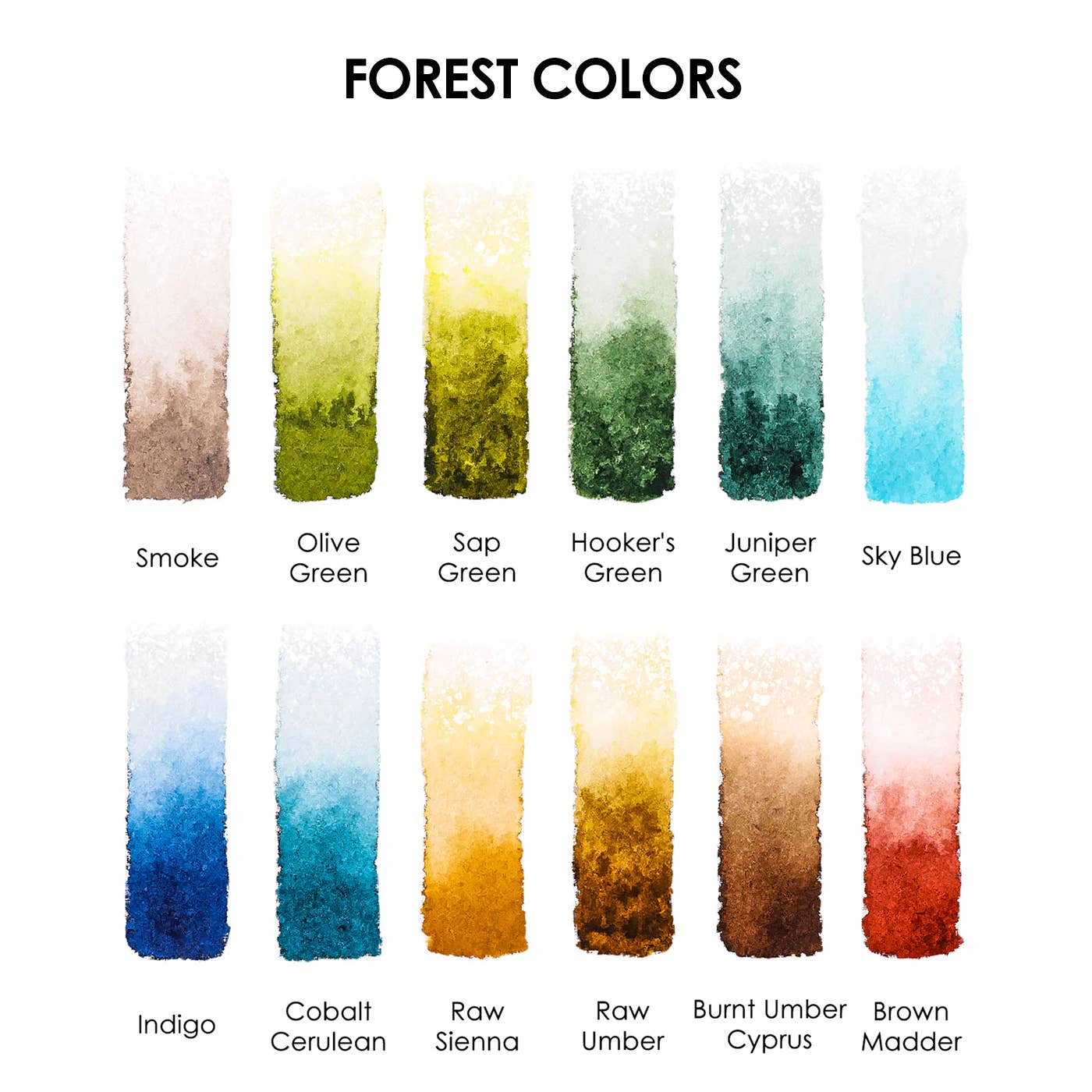 Watercolor Pocket Set of 12 - Forest Colors