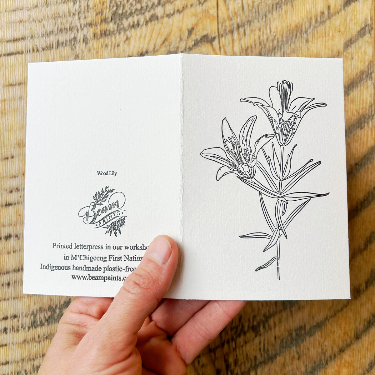 Beam Watercolor Postcards -Wildflowers of Manitoulin-