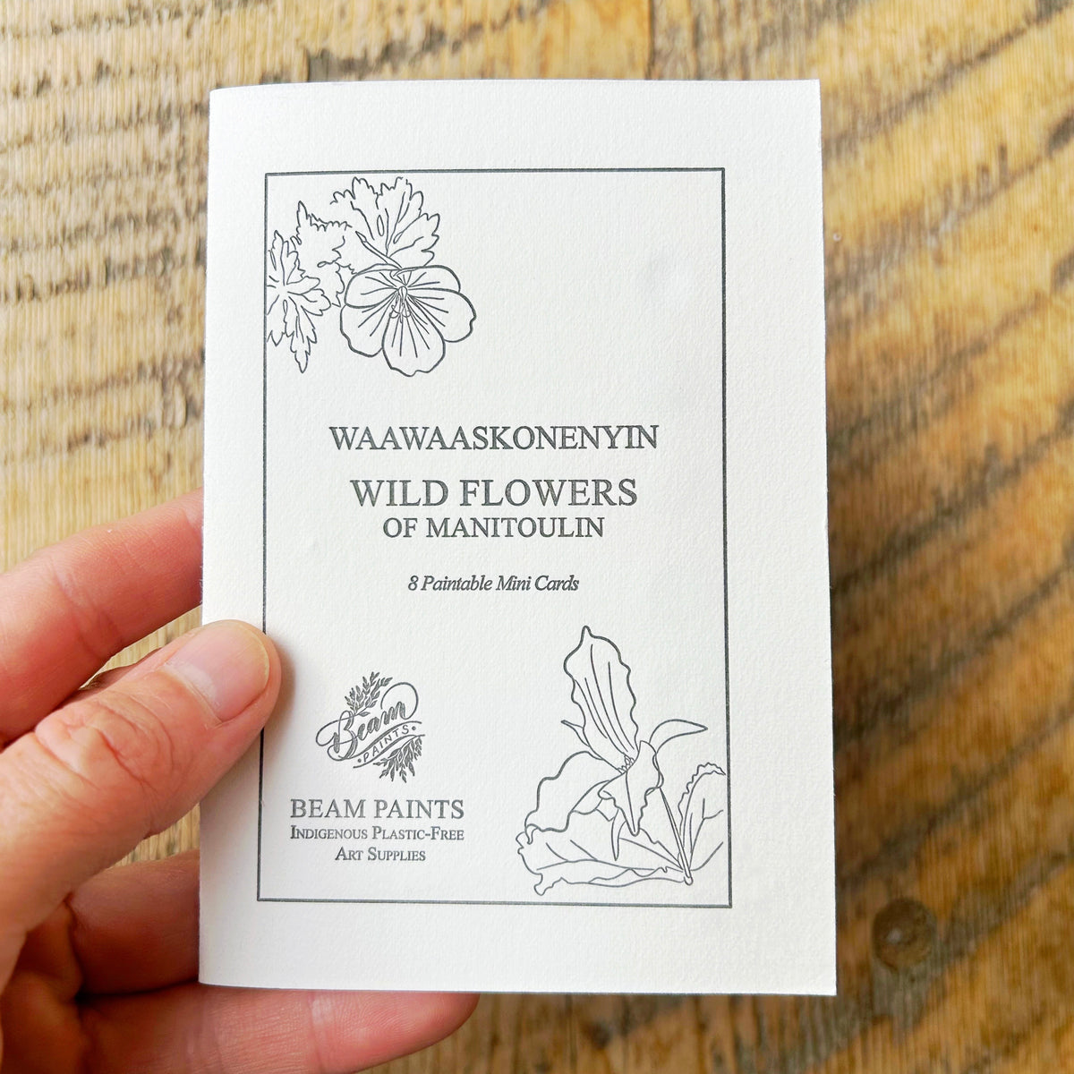 Beam Watercolor Postcards -Wildflowers of Manitoulin-