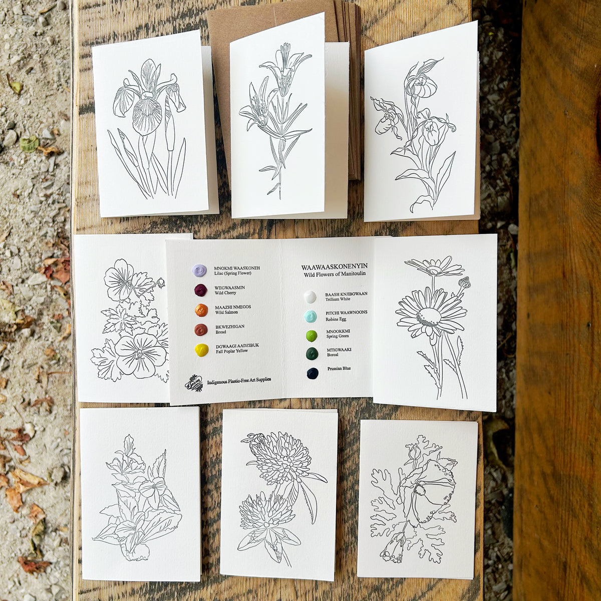 Beam Watercolor Postcards -Wildflowers of Manitoulin-