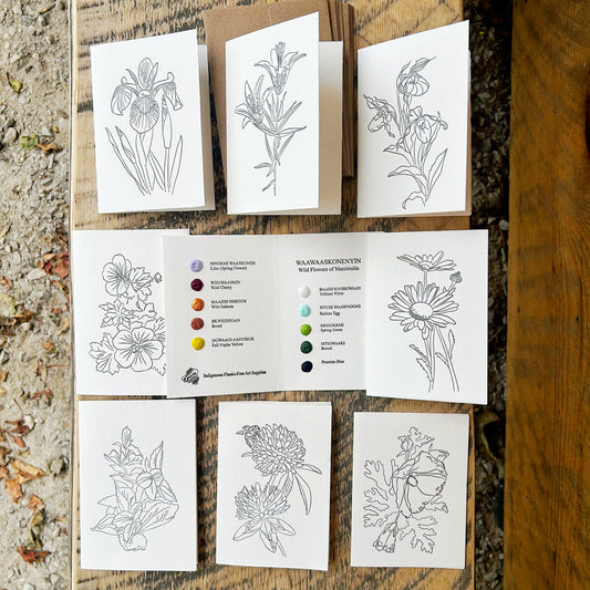 Beam Watercolor Postcards -Wildflowers of Manitoulin-