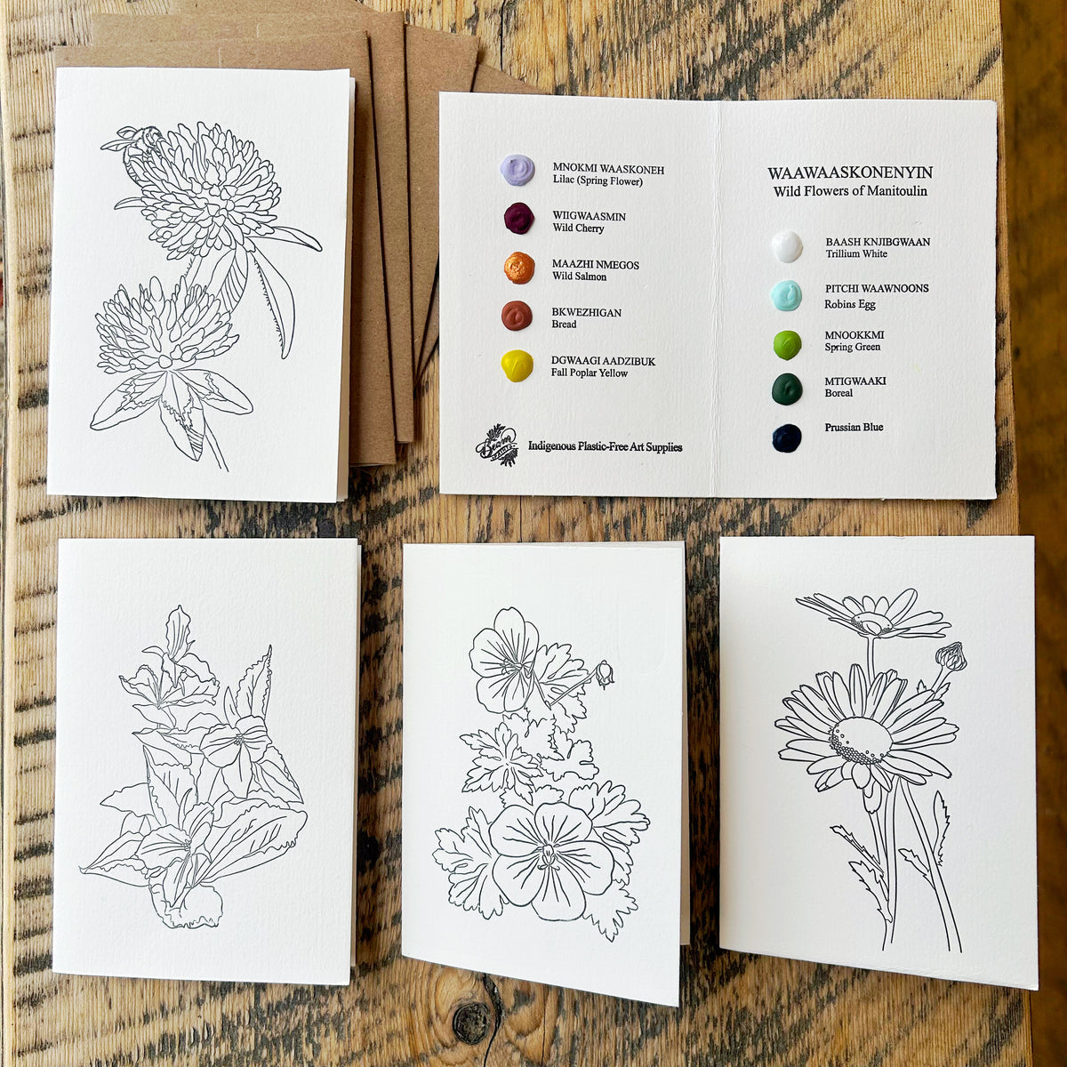 Beam Watercolor Postcards -Wildflowers of Manitoulin-