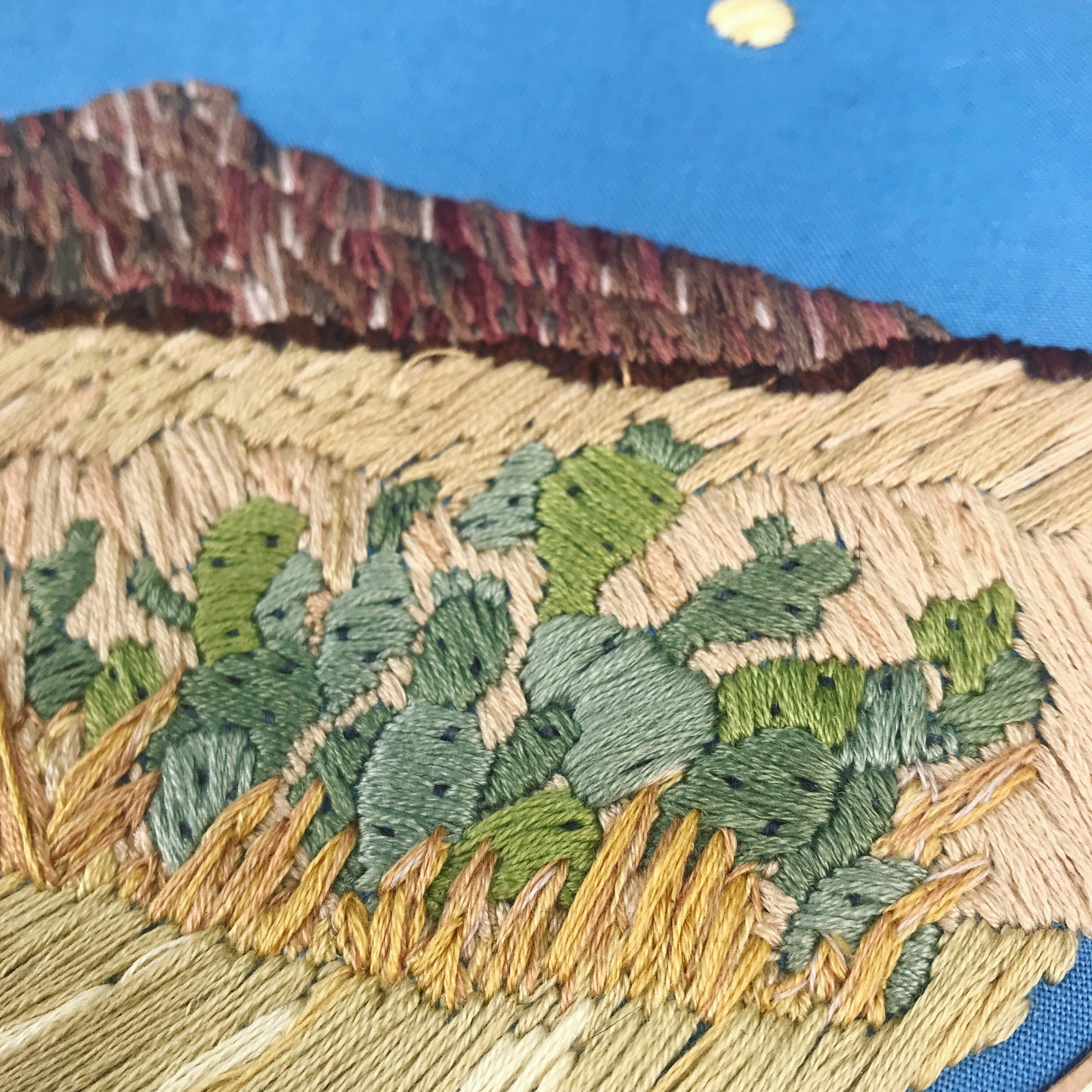 July 19 Stitching the Desert