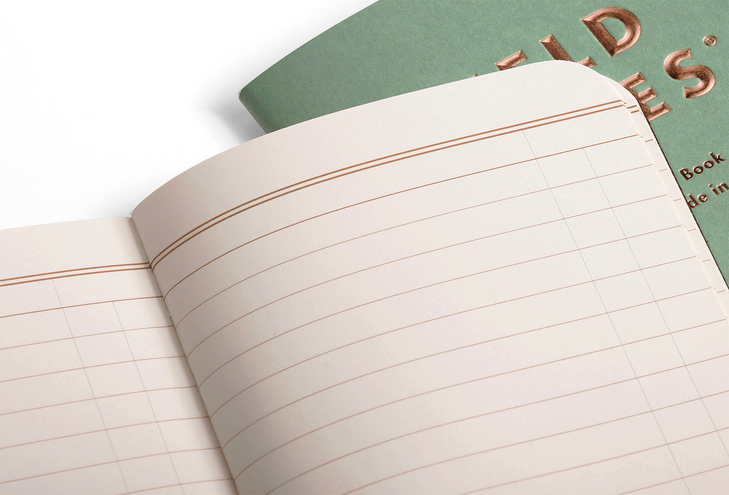 Field Notes Lucky Ledger Books