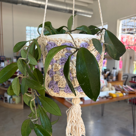 July 12 Hanging Crochet Planter