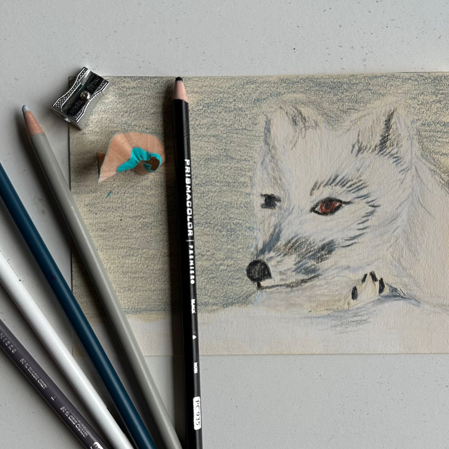 January 4 Color Pencil Winter Fox Afternoon Camp