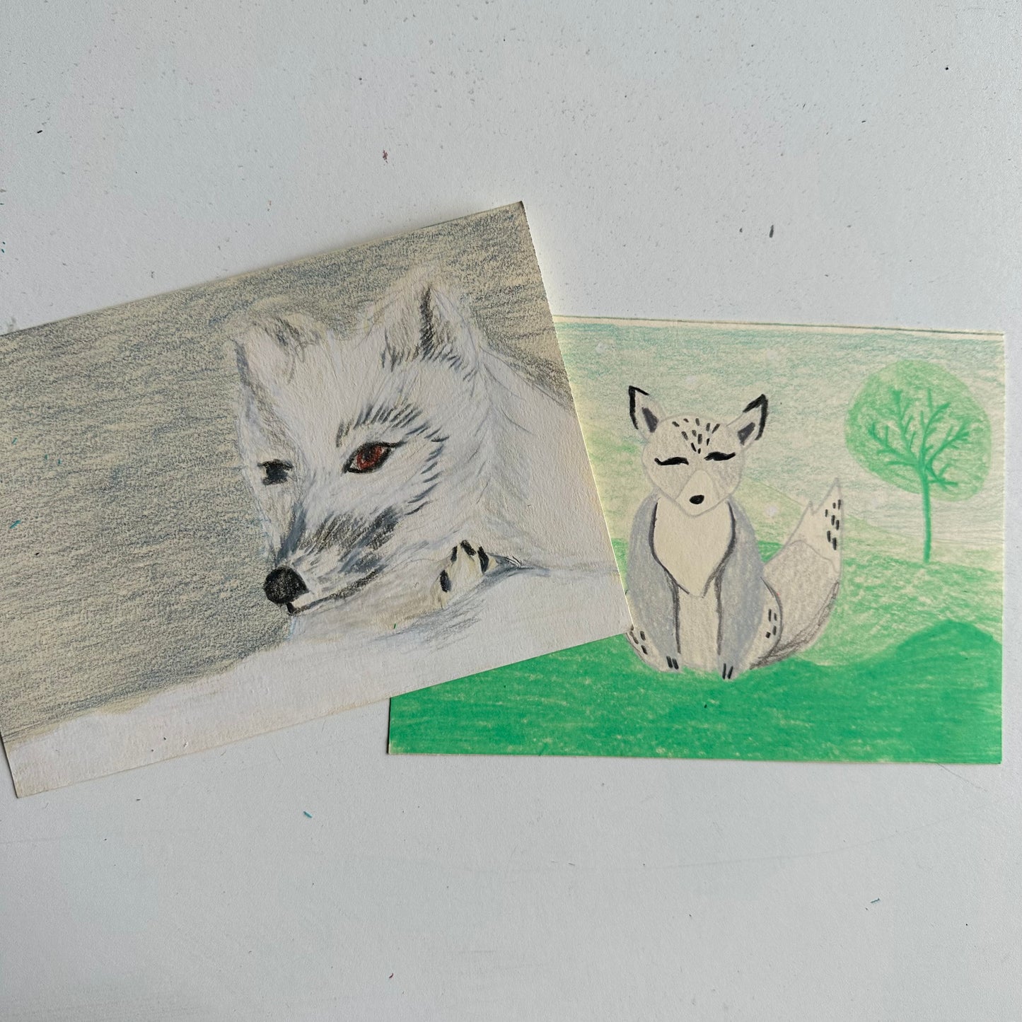 January 4 Color Pencil Winter Fox Afternoon Camp