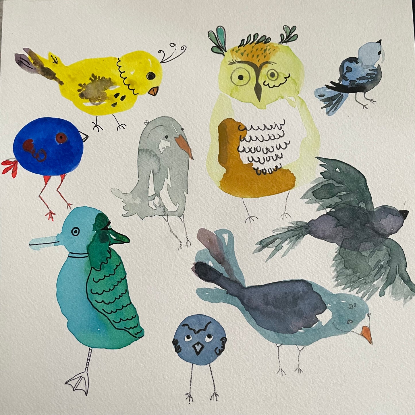 December 29 Blob Birds Morning Camp
