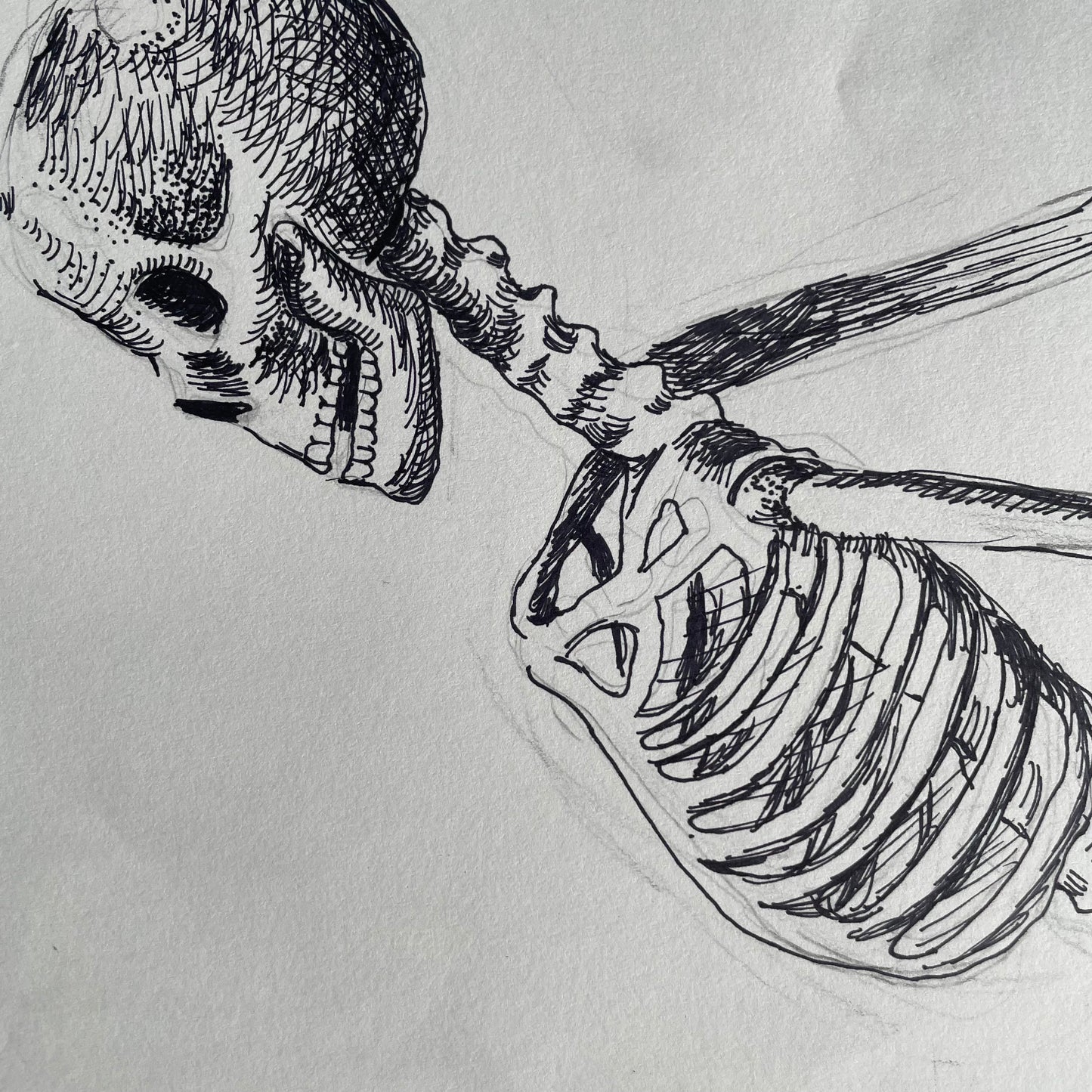 Adult Weekly Beginner Drawing
