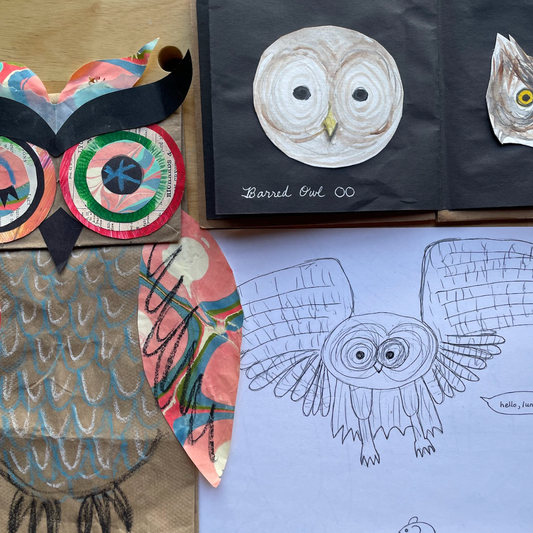 December 30 Owl Craft Morning Camp