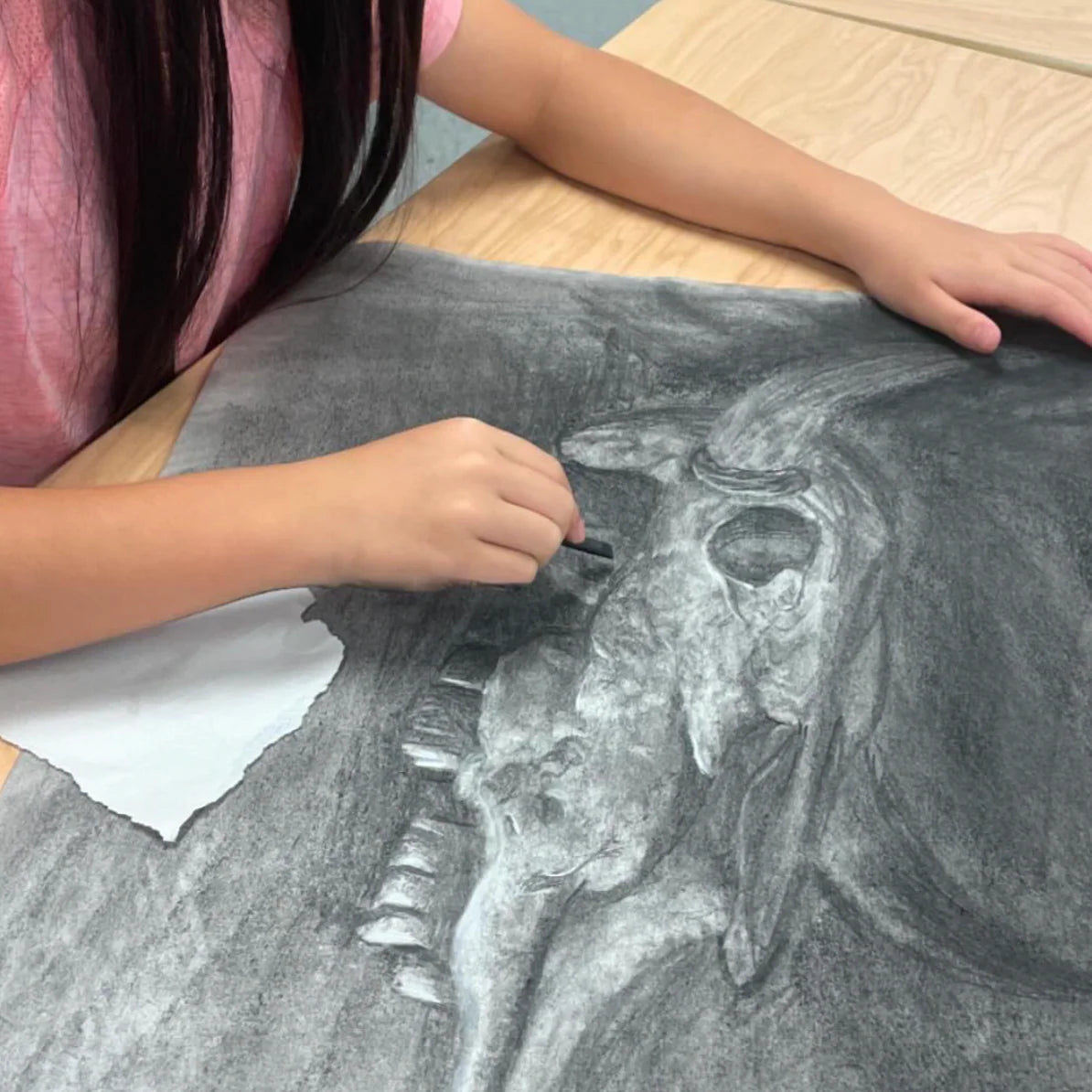 July 14-18 PM Tween/Teen Drawing Techniques and Portfolio Camp