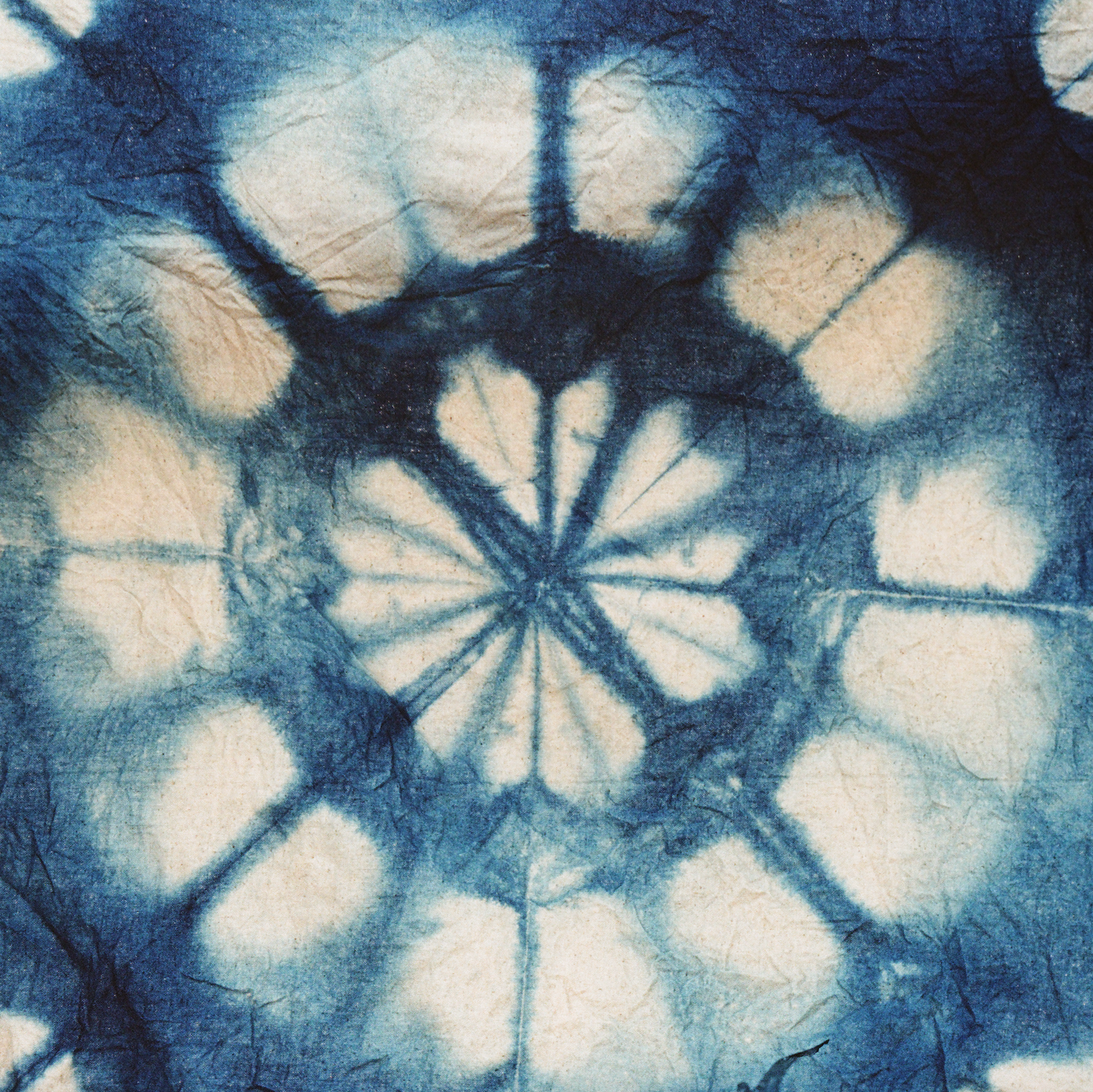 October 11 Natural Dyes: Indigo and Shibori