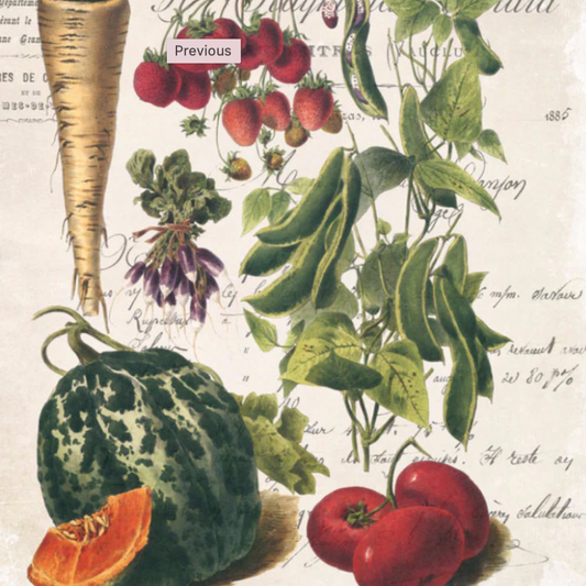 November 26 Harvest and Bounty Morning Camp