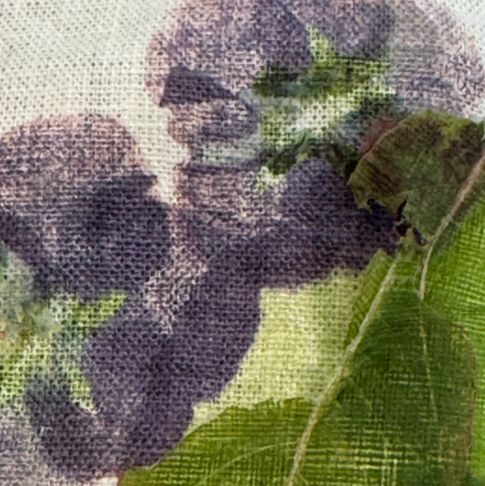 Aug 23 Eco Printed Scarf